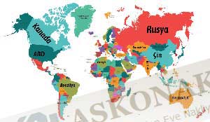 uluslararası evden eve nakliyat